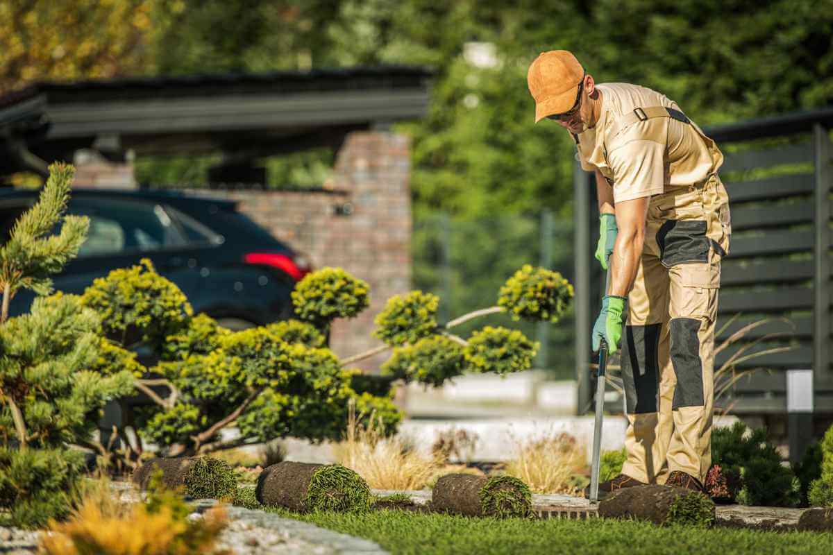 Realizácia záhrad 🏡 Záhrady na kľúč za dobrú cenu | Neltim